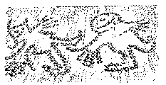 nachfolger04