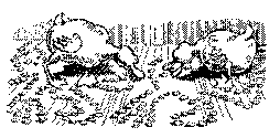 nachfolger05